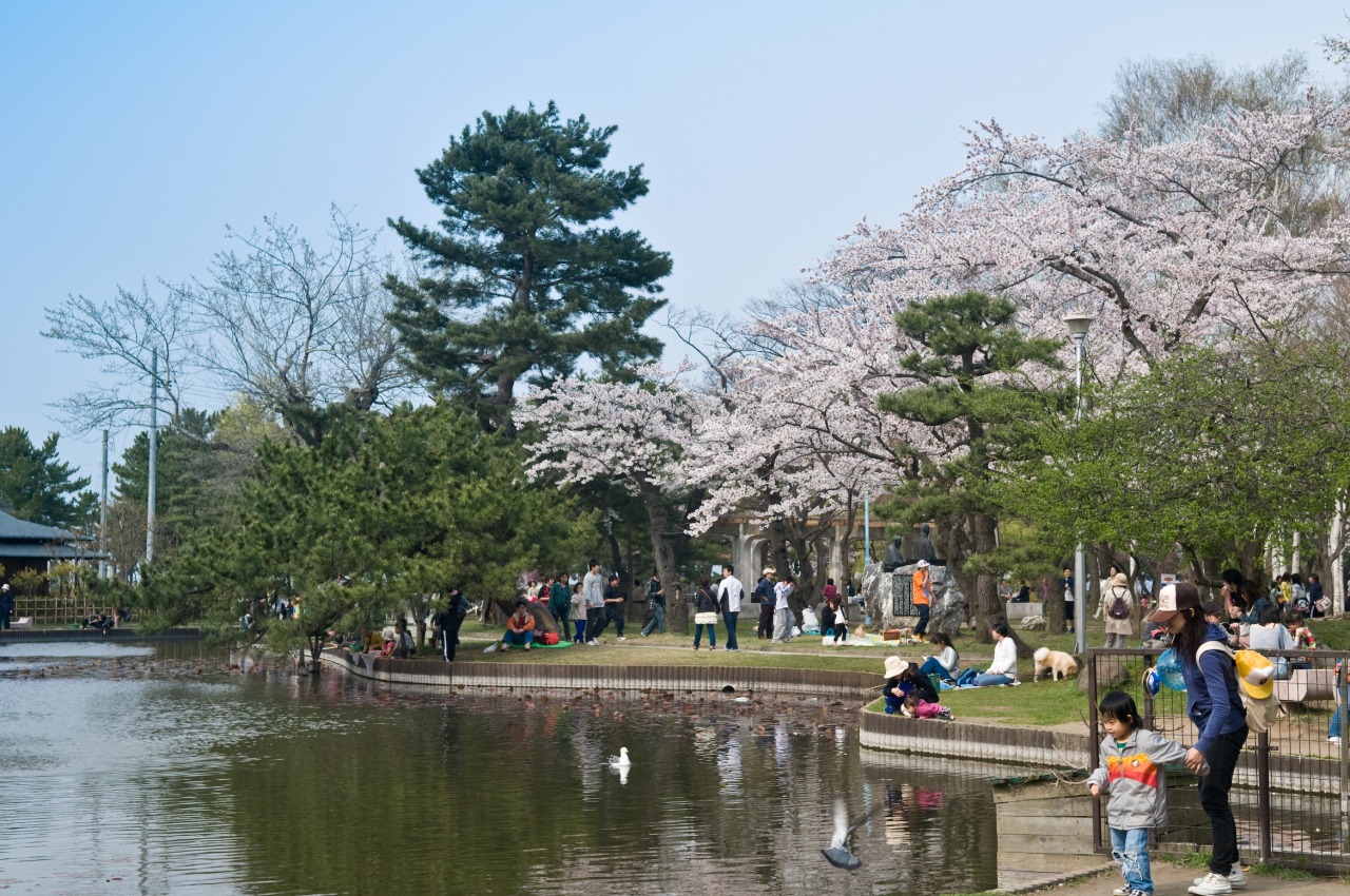 合浦公園