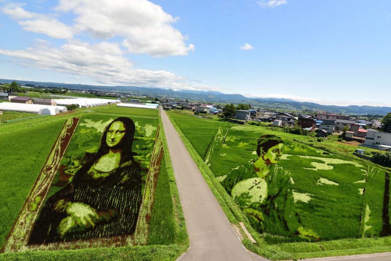 2025 田舎館村田んぼアート