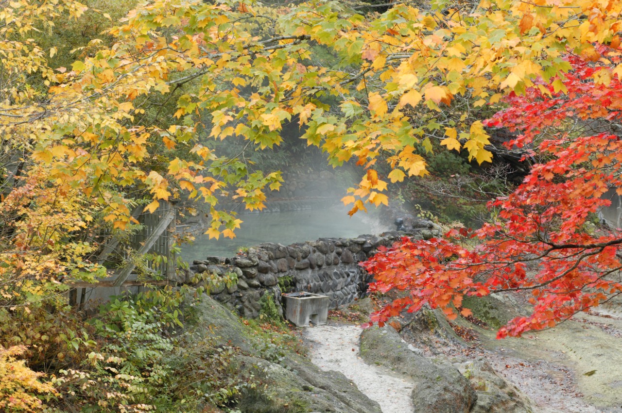 奥薬研温泉　元祖かっぱの湯